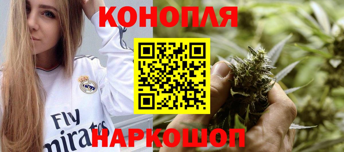 Заволжье  МАРИХУАНА индика  Вход с VPN  Каннабис сатива  Каннабис планчик  Шишки марихуана OG Kush 